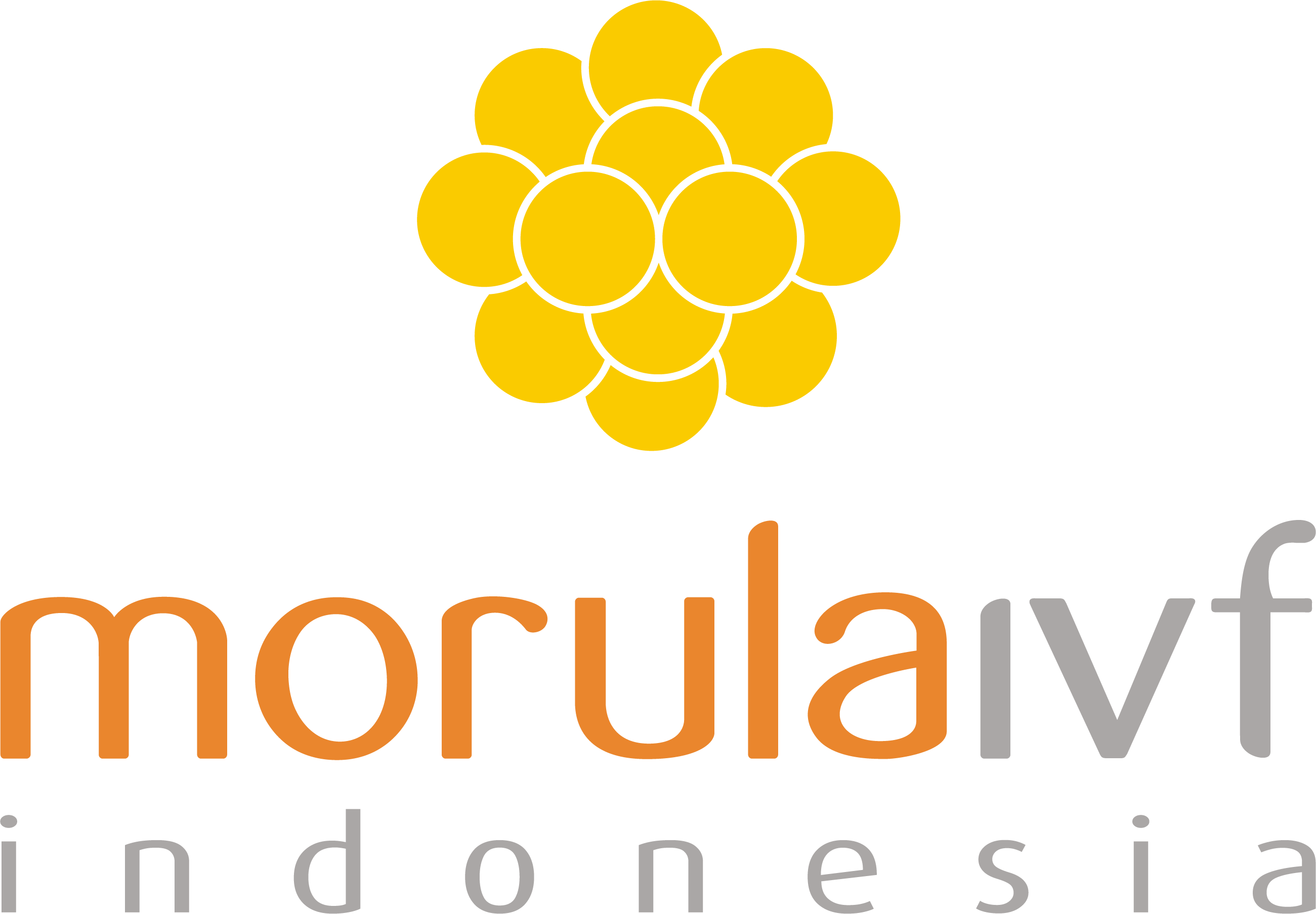 Morula IVF Clinic Morula IVF Clinic